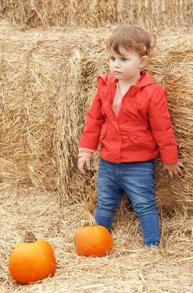 Funny baby met pumpkins halloween — Stockfoto