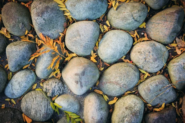 Large stones, autumn leaves — Stock Photo, Image