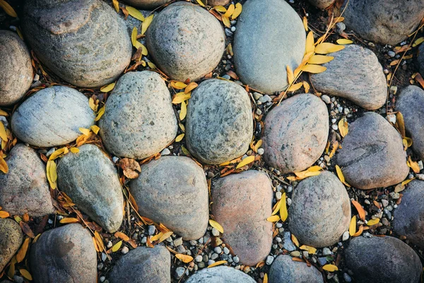 Piedras grandes, hojas de otoño — Foto de Stock