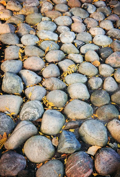 Large stones, autumn leaves — Stock Photo, Image