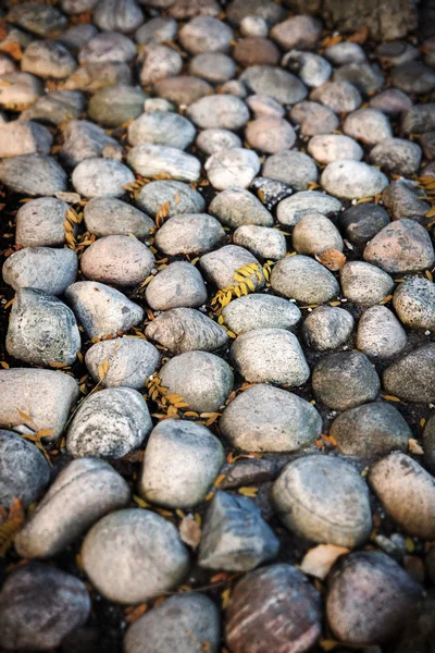 Large stones, autumn leaves — Stock Photo, Image