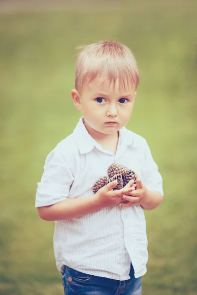 Kaukasisk pojke med kottar — Stockfoto