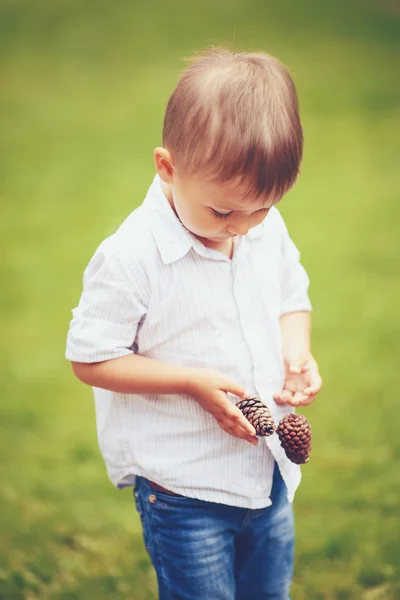 Caucásico chico con conos de pino —  Fotos de Stock