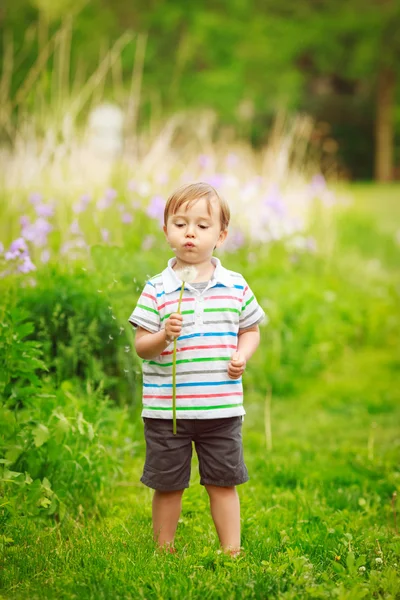 蹒跚学步的小男孩吹蒲公英 — 图库照片