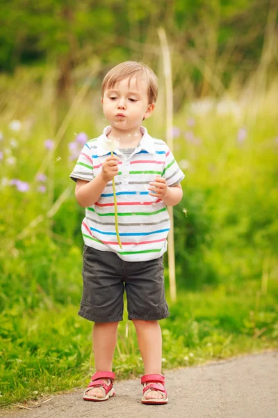 Niño soplando dientes de león — Foto de Stock