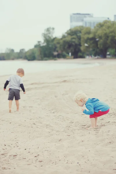 Kinderen op het strand spelen plukken van schelpen Stockfoto