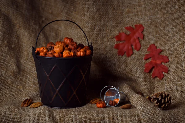 食欲の秋収穫のある静物 — ストック写真