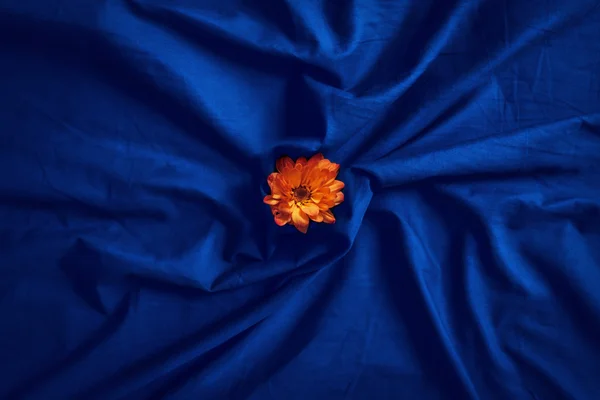 Yellow flower on blue bed sheet — Stok fotoğraf