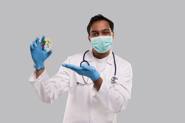 Doctor Holding Petri Schotel Dragen Van Medische Maskers Handschoenen Geïsoleerd — Stockfoto