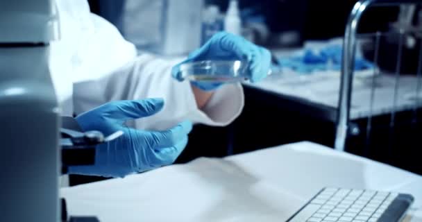 Dokter die met bloedtesten werkt met Petri Dish. Boold Tests, Virus Test, Laboratorium Concept. Handen dicht. — Stockvideo