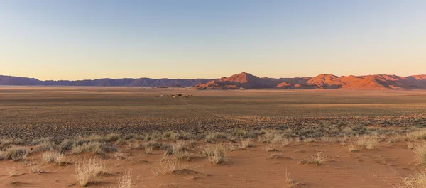 Uitzicht op boerderij Gunsbewys en Tiras bergen in zuidelijke Namibië — Stockfoto