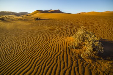 Namib Çölü, Sossusvlei, Namibya'kırmızı tepeleri görünümü