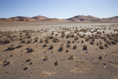 Red dunes in the Namib Desert, in Sossusvlei, Namibia