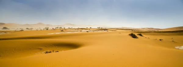 Sossusvlei, 나미비아 나 미 브 사막에 있는 붉은 모래 언덕의 보기 — 스톡 사진