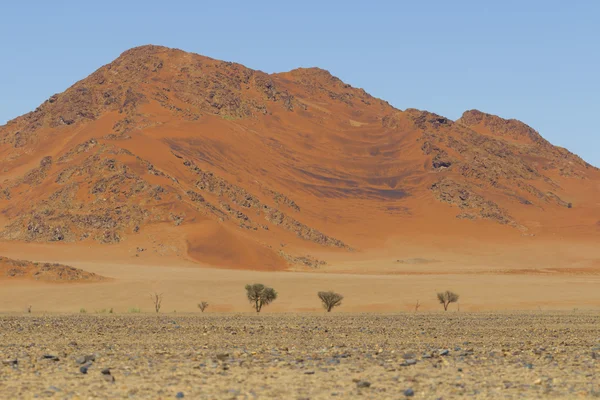 Weergave van Rode duinen in de Namib woestijn, Sossusvlei, Namibië — Stockfoto