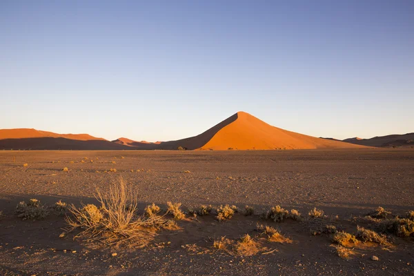 Red dunes in the Namib Desert, in Sossusvlei, Namibia — 图库照片