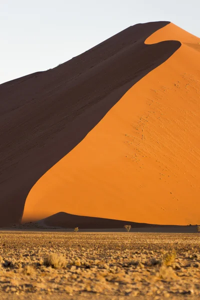 纳米布沙漠，在 Sossusvlei，纳米红色沙丘的徽章 — 图库照片