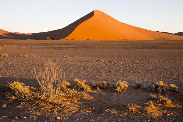Red dunes in the Namib Desert, in Sossusvlei, Namibia — Stok fotoğraf