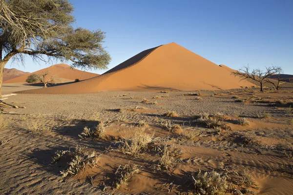 La dune 45 dans le désert du Namib, Sossusvlei, Namibie — Photo