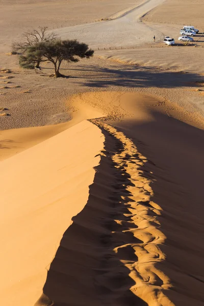 Вид из дюны 45 в пустыне Намиб, Соссусвлей, Намибия — стоковое фото