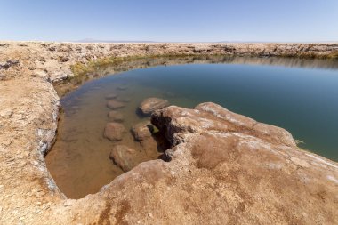 Ojos del Salar Lagoon, San Pedro de Atacama yakınlarındaki Salar de Atacama, Antofagasta Bölgesi, Şili
