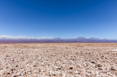 Şili 'nin Salar kentindeki Chaxa Lagoon Laguna' nın güzel manzarası.