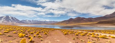 Güney Amerika 'nın Antofagasta bölgesindeki Atacama Çölü altiplanosunda Miscanti Lagünü.