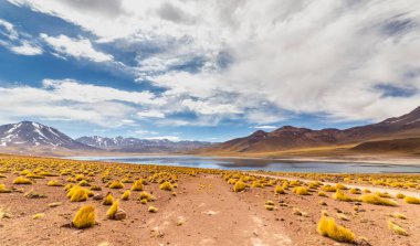 Miscanti Lagoon on the altiplano in the Atacama Desert in the Antofagasta region of northern Chile, South America clipart