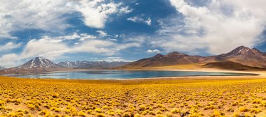 Güney Amerika 'nın Antofagasta bölgesindeki Atacama Çölü altiplanosunda Miscanti Lagünü.
