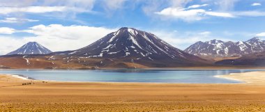 Güney Amerika 'nın Antofagasta bölgesindeki Atacama Çölü altiplanosunda Miscanti Lagünü.