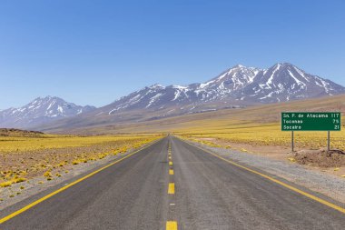 View from the Route 23, the scenic road in the north ofChile, running from Calama to Sico Pass, the border with Argentina. The road passes near Miscanti Lagoon, Salar de Talar and Tuyajto Lagoon clipart