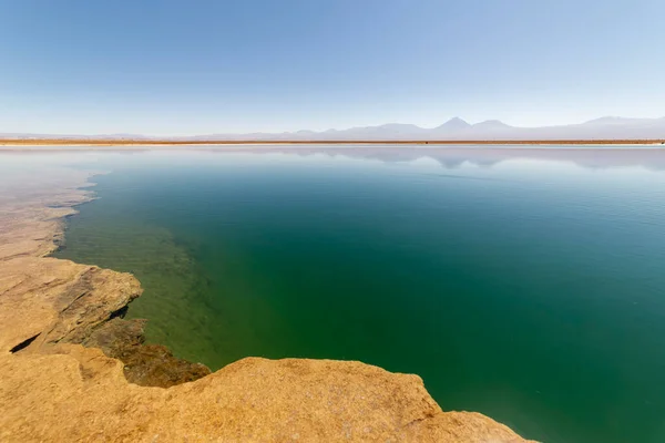 Blick Auf Die Lagunenlagune Cejar Der Atacama Wüste Antofagasta Chile — Stockfoto