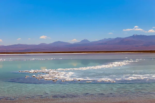 Tebinquinche Lagon Desert Salar Atacama San Pedro Atacama Altiplano — ストック写真