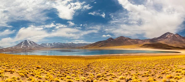 Laguna Miscanti Altiplano Desierto Atacama Región Antofagasta Del Norte Chile — Foto de Stock