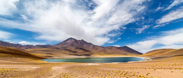 Laguna Miniques Altiplano Desierto Atacama Región Antofagasta Del Norte Chile — Foto de Stock