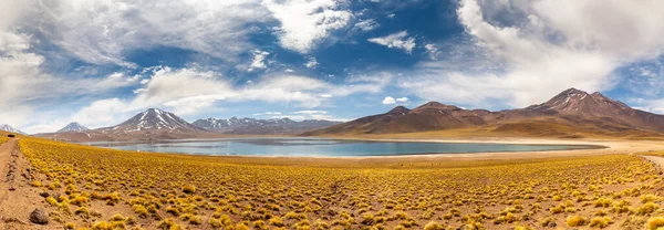 Die Lagune Von Miscanti Auf Dem Altiplano Der Atacama Wüste — Stockfoto