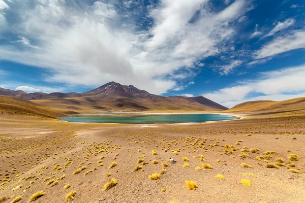 Λιμνοθάλασσα Miniques Στο Altiplano Στην Έρημο Atacama Στην Περιοχή Antofagasta — Φωτογραφία Αρχείου