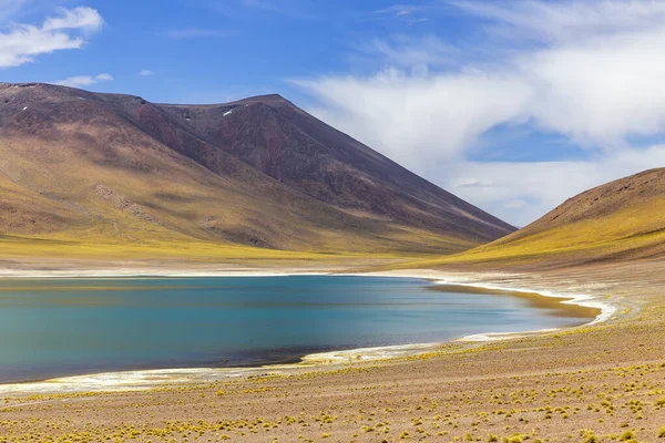 Laguna Miniques Altiplano Desierto Atacama Región Antofagasta Del Norte Chile — Foto de Stock