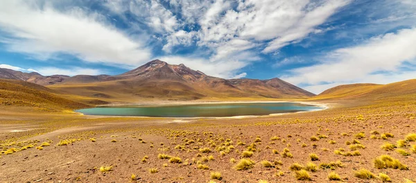 Laguna Miniques Altiplano Desierto Atacama Región Antofagasta Del Norte Chile — Foto de Stock