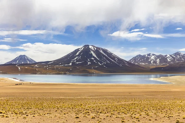 Die Lagune Von Miscanti Auf Dem Altiplano Der Atacama Wüste — Stockfoto