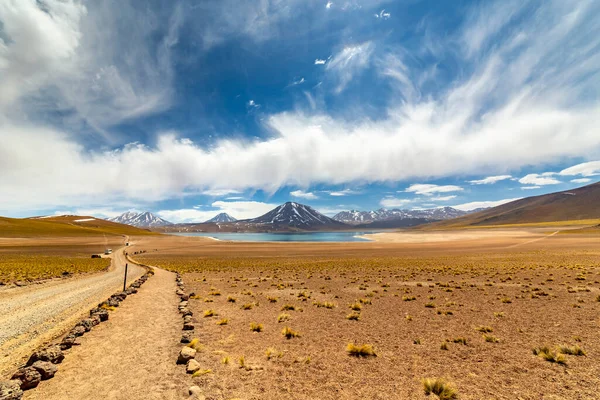 Laguna Miscanti Altiplano Desierto Atacama Región Antofagasta Del Norte Chile — Foto de Stock