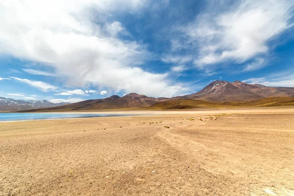 Laguna Miscanti Altiplano Desierto Atacama Región Antofagasta Del Norte Chile — Foto de Stock