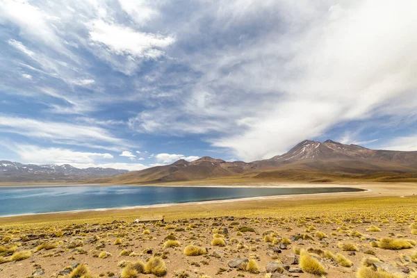 Λιμνοθάλασσα Miscanti Στο Altiplano Στην Έρημο Atacama Στην Περιοχή Antofagasta — Φωτογραφία Αρχείου