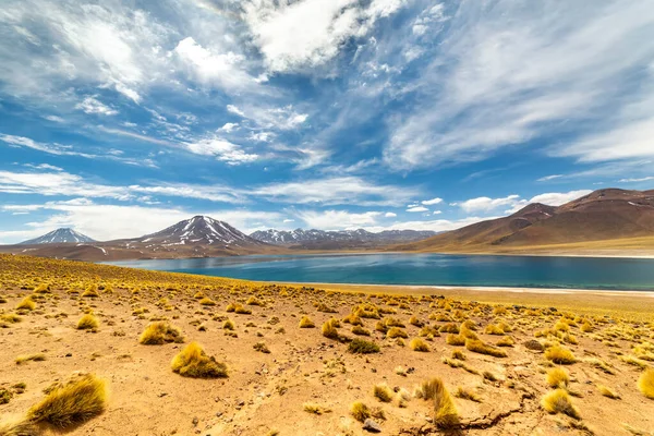 Die Lagune Von Miscanti Auf Dem Altiplano Der Atacama Wüste — Stockfoto