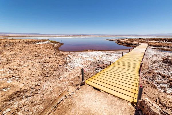 Λιμνοθάλασσα Tebinquinche Έρημος Στο Salar Atacama San Pedro Atacama Altiplano Royalty Free Εικόνες Αρχείου