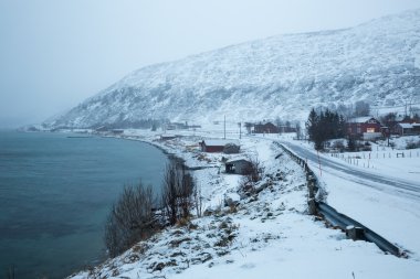 Norveç kışın - ada Kvaloya gezisi