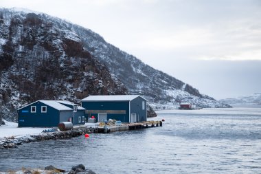 Norveç kışın - ada Kvaloya gezisi