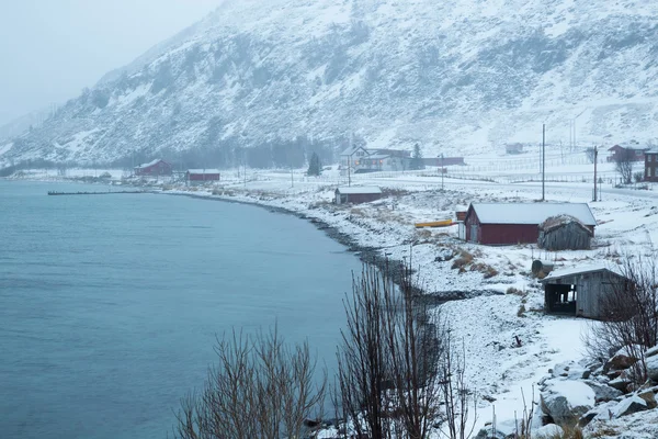 Noruega no inverno - viagem à ilha Kvaloya — Fotografia de Stock