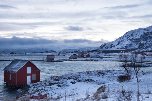 Norvegia in inverno - gita sull'isola di Kvaloya — Foto Stock
