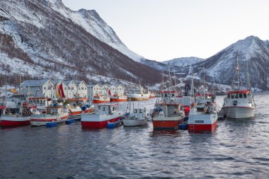 Kışın - seyahat senja Norveç